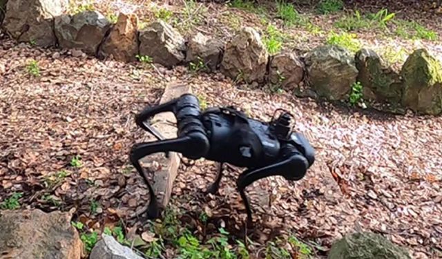 AI improves robotic performance in DARPA’s Machine Common Sense Program