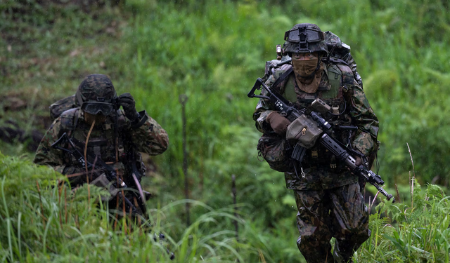 Japan deploys soldiers to combat bear attacks
